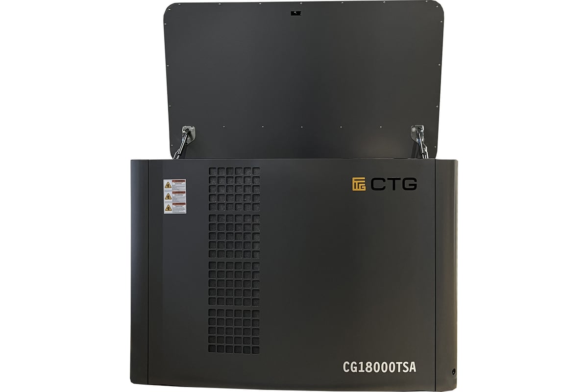 Электроагрегат газопоршневой CG18000SA в кожухе CTG 4687204619069