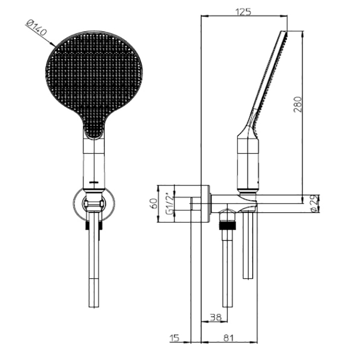 Душевая лейка Bossini Apice CE3002C.073 со шлангом, черный матовый