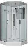 Душевая кабина Niagara Premium NG-6002-01GD 100x100