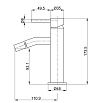 Смеситель для биде AQUAme Siena AQM6216