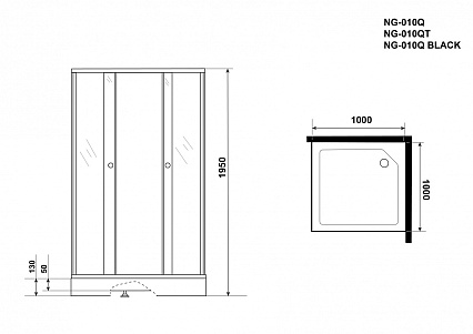 Душевой уголок Niagara NG 010-14QT 100x100 тонированный, черный