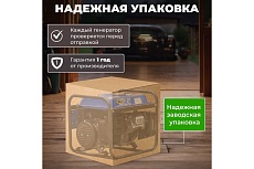 Бензиновый генератор Eco PE-1302RS