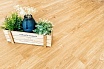 SPC ламинат Alpine Floor Sequoia Royal 1220x183,0x4,0 мм, ECO 6-4 Mineral Core