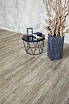 SPC ламинат Alpine Floor Intense Каменные Джунгли 1220x183x6 мм, ECO 9-7