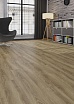 Ламинат Floorwood Profile Дуб Энтони 1380х193х8 мм, D4620