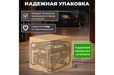 Бензиновый генератор Eco PE-4001RS Black Edition EC1565-1