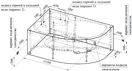 Акриловая ванна Ваннеса Ирма 169х110 с г/м Баланс хром, L