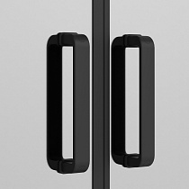 Душевая дверь Ambassador Forsa 100x200 17021216AB прозрачная, чёрный