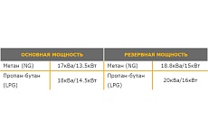 Электроагрегат газопоршневой CG18000TSA в кожухе CTG 4687204619076