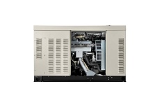 Газовый генератор Generac RG 02224 RNAX