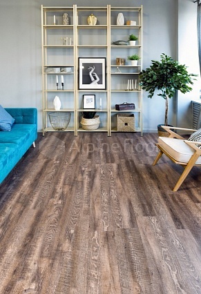 SPC ламинат Alpine Floor Easy Line Дуб Миндаль 1219,2x184,15x3 мм, ECO 3-7