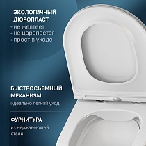 Подвесной унитаз Am.Pm Func C8F1700MWSC, микролифт, белый матовый