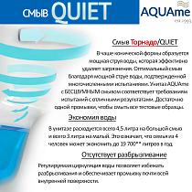 Подвесной унитаз AQUAme AQM2012 безободковый, Quiet, с сиденьем микролифт