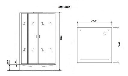 Душевая кабина Niagara Premium NG-6002-01GQ 100x100