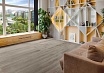 SPC ламинат Alpine Floor Grand Sequoia Superior ABA Клауд 1220x183x8 мм, ECO 11-1503 ABA