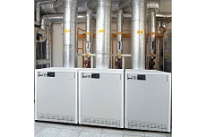 Газовый напольный котел Protherm Гризли 130 KLO 130KLOR12 RAN30H2FLH5T1T