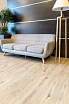 SPC ламинат Alpine Floor Ultra Ваниль 1219,2x184,15x2,00 мм, ECO 5-4