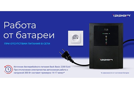 Источник бесперебойного питания Ippon Back Basic 2200 Euro 1320Вт 2200ВА черный 1108028